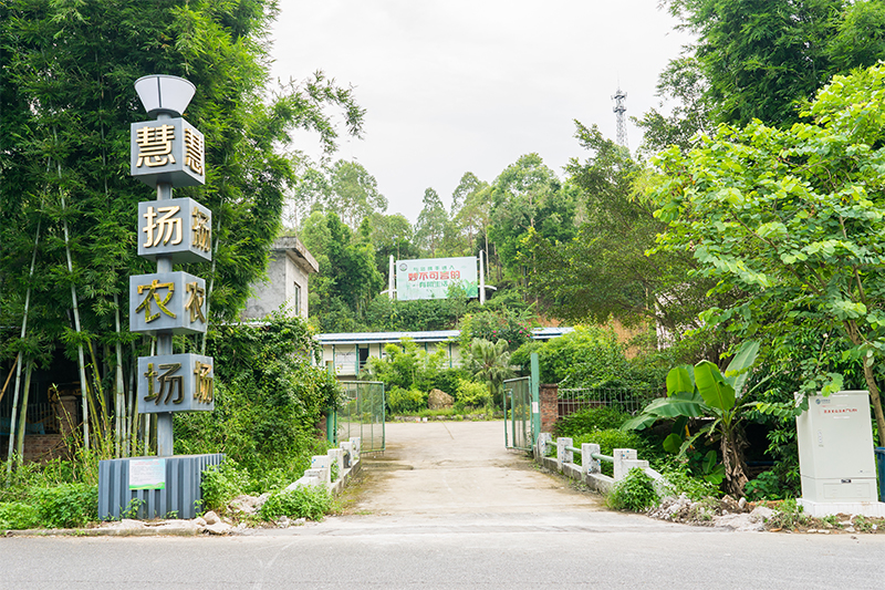 远远就看见了农场大门口显眼又壮观的招牌,周围都是绿荫葱葱,果然是个